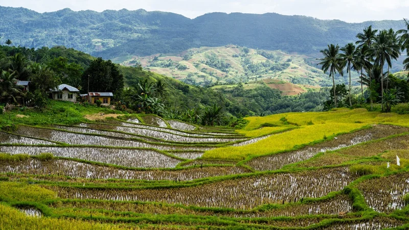 Cebu - Khung cảnh tuyệt đẹp