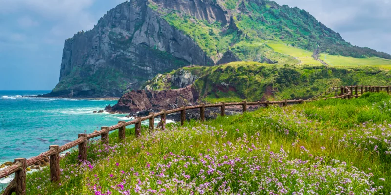đảo Jeju - Hình ảnh đẹp