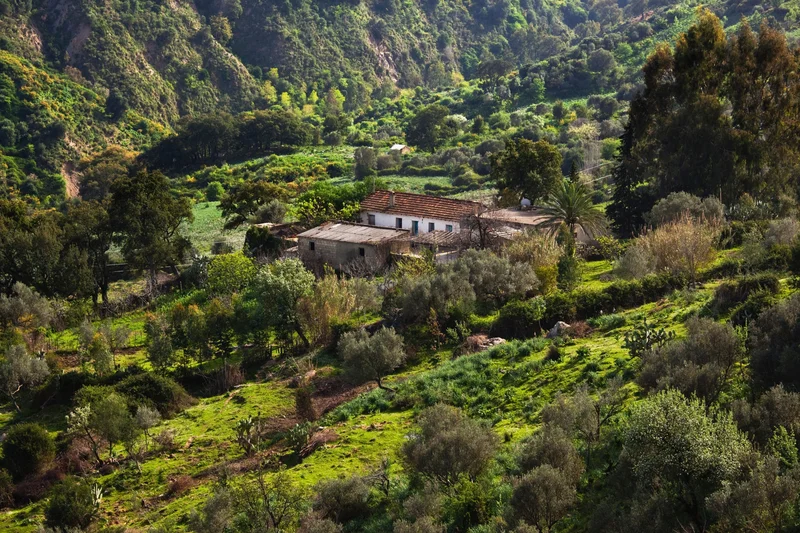 Tunis - Khung cảnh tuyệt đẹp
